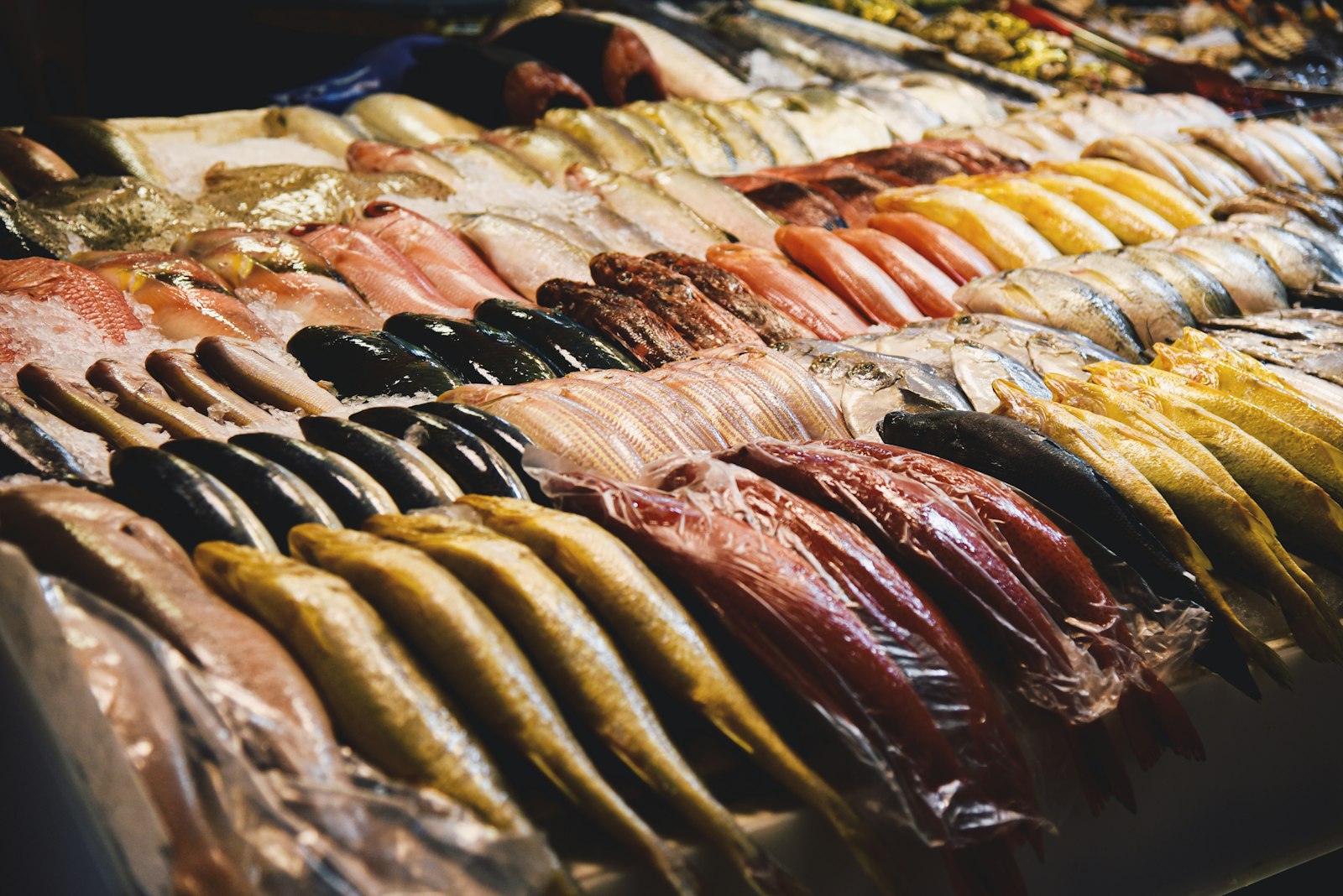 Mostrador de mariscos frescos sobre hielo