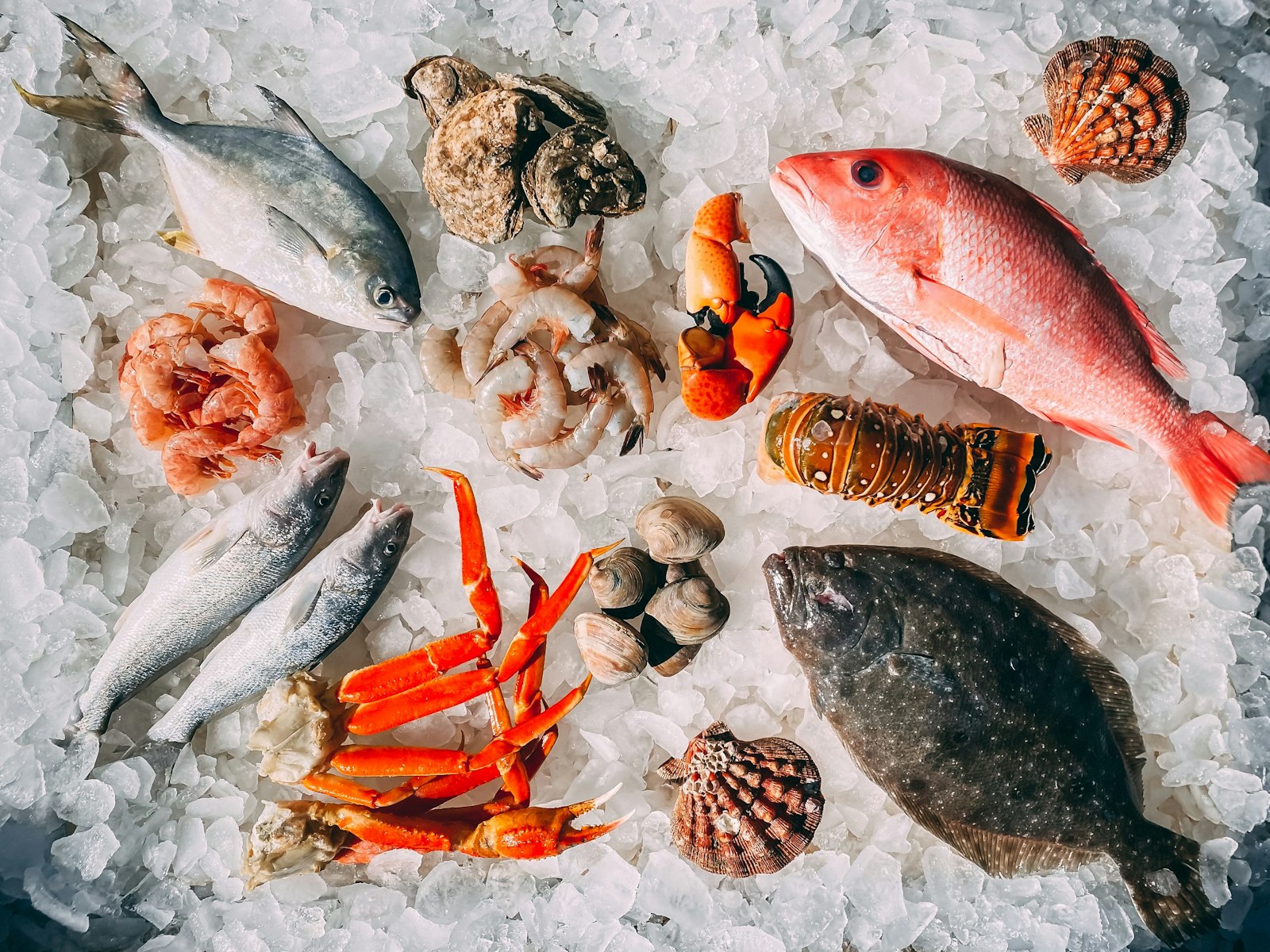 Surtido de mariscos crudos sobre hielo