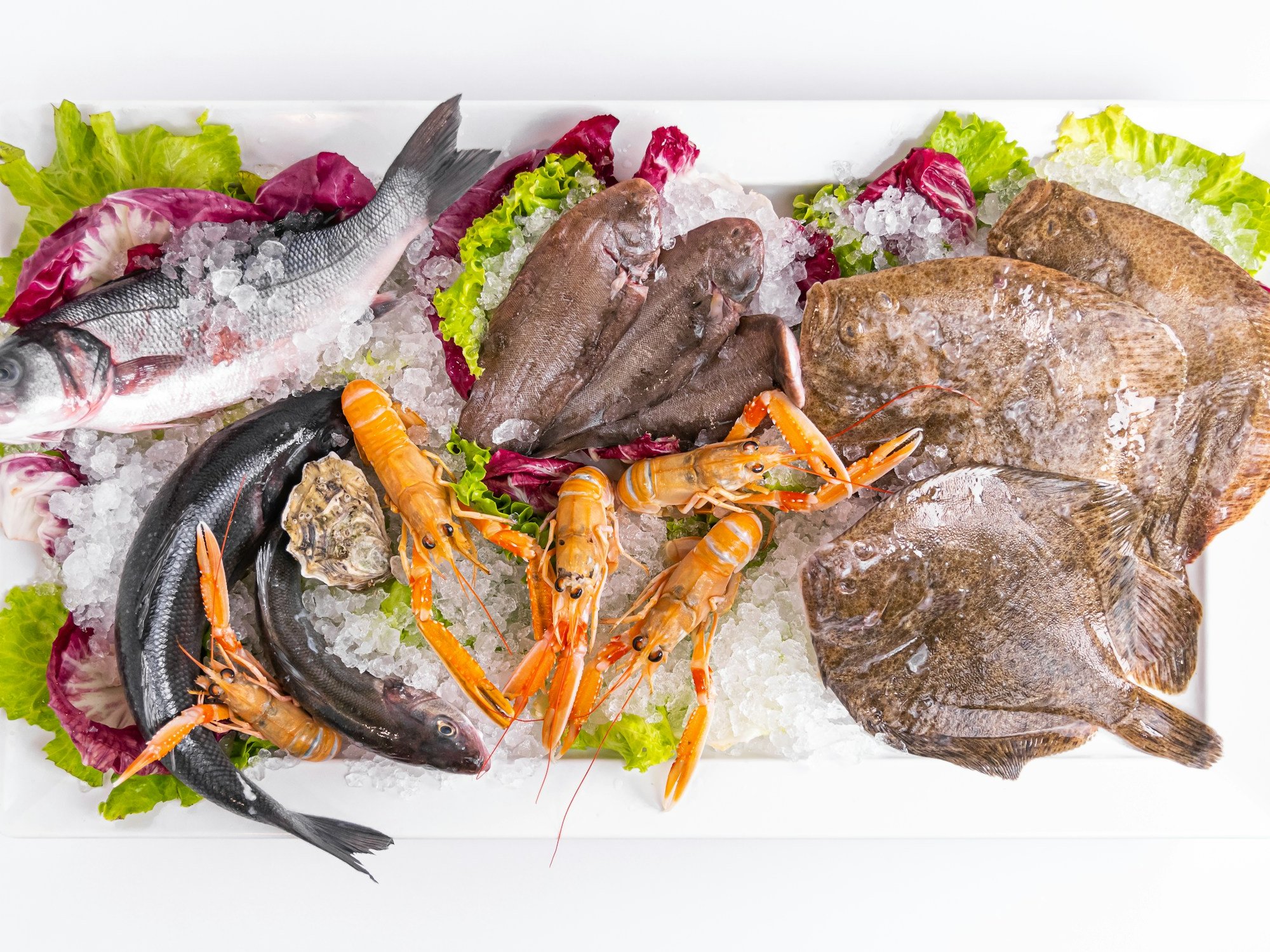 Mostrador con mariscos y pescado fresco sobre hielo